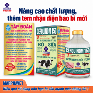 Cefquinom 150 LA