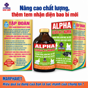 Alpha-gluconamin