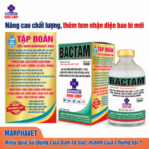 Bac-tam