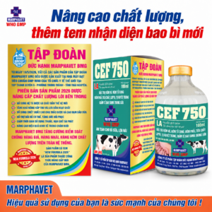 Cef 750