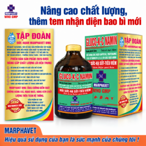 Gluco-K-C-Namin