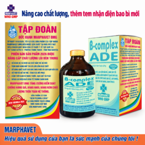 B-complex ADE