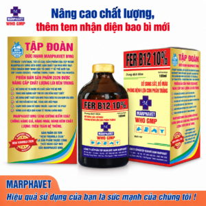 Fer B12 10%