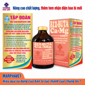 B12-Buta Mg.Ca