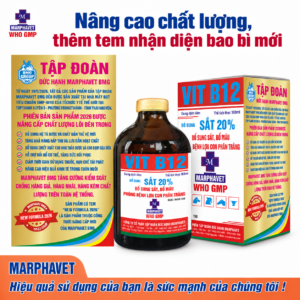 Sắt 20%-B12 (Vit B12)