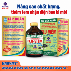 Flu-Viêm-Namin
