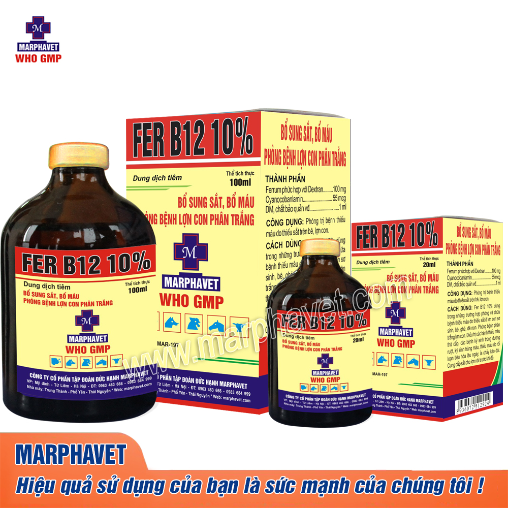 Fer-10