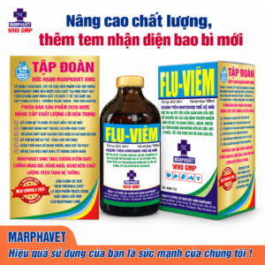 FLu viêm
