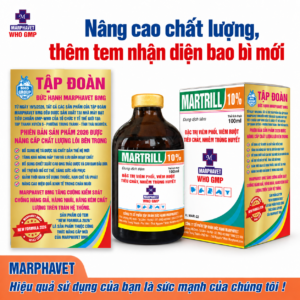 Martrill 10%