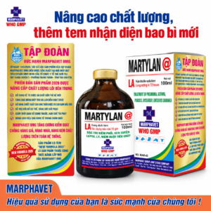 Martylan@ LA