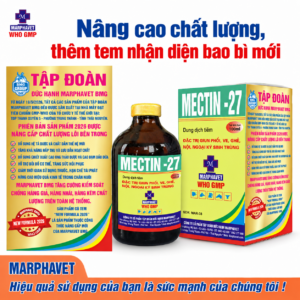 MECTIN 27