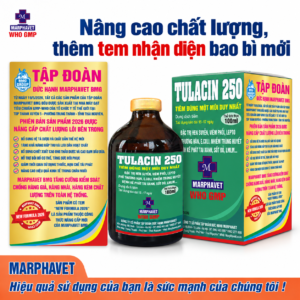 Tulacin 250