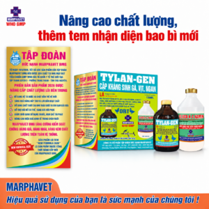 Cặp kháng sinh gà, vịt, ngan - Tylan-gen LA & Gluco-K-C Namin