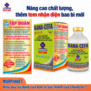 Kana-cefa