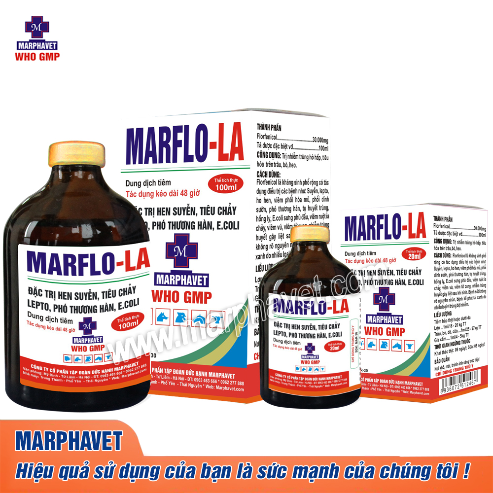 marflo-LA