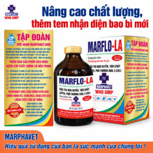 Marflo-LA