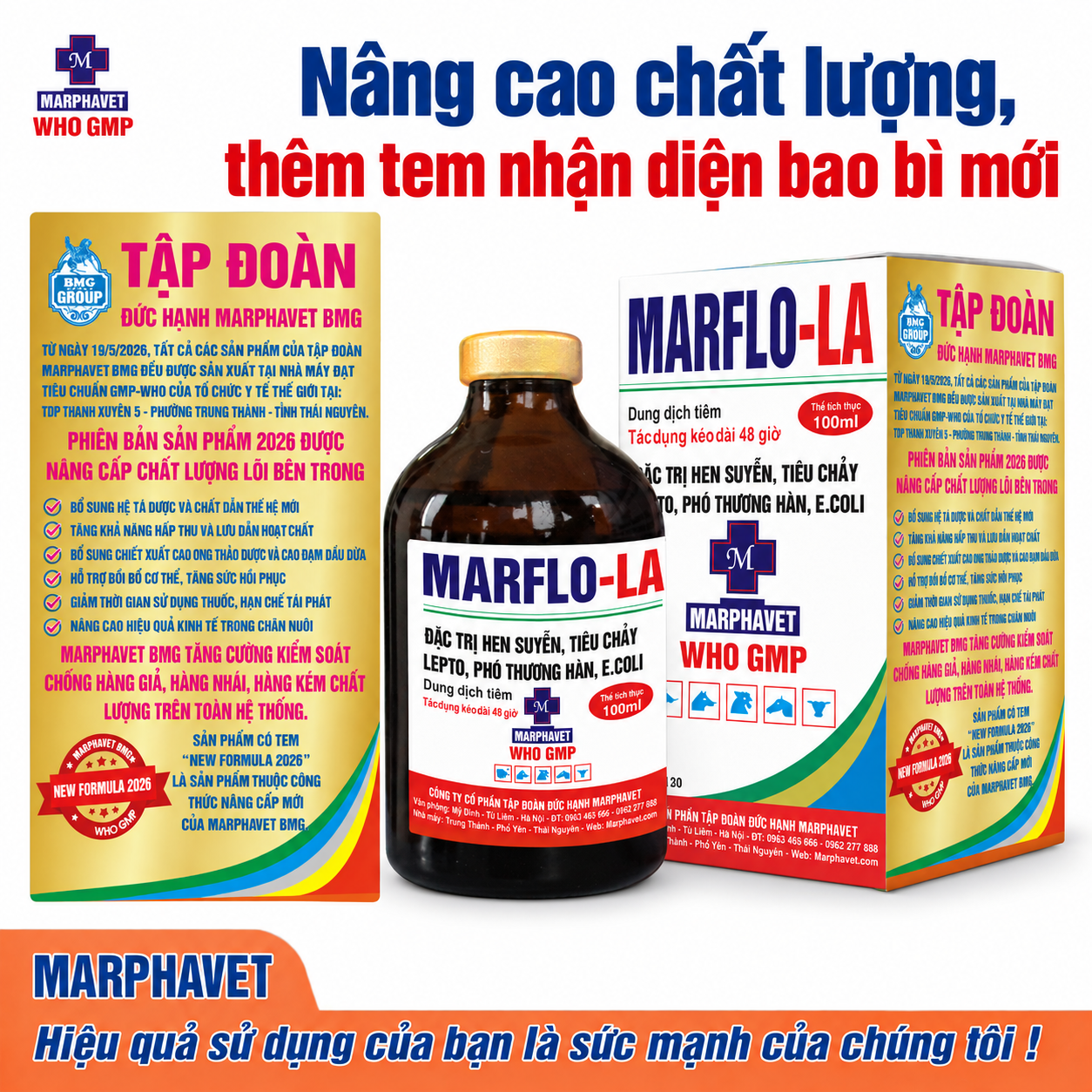 marflo-LA 2 (2)
