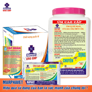 ÚM CAO CẤP