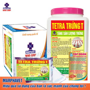 TETRA TRỨNG T