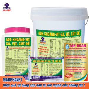ADE-KHOÁNG VIT GÀ, VỊT, CÚT ĐẺ
