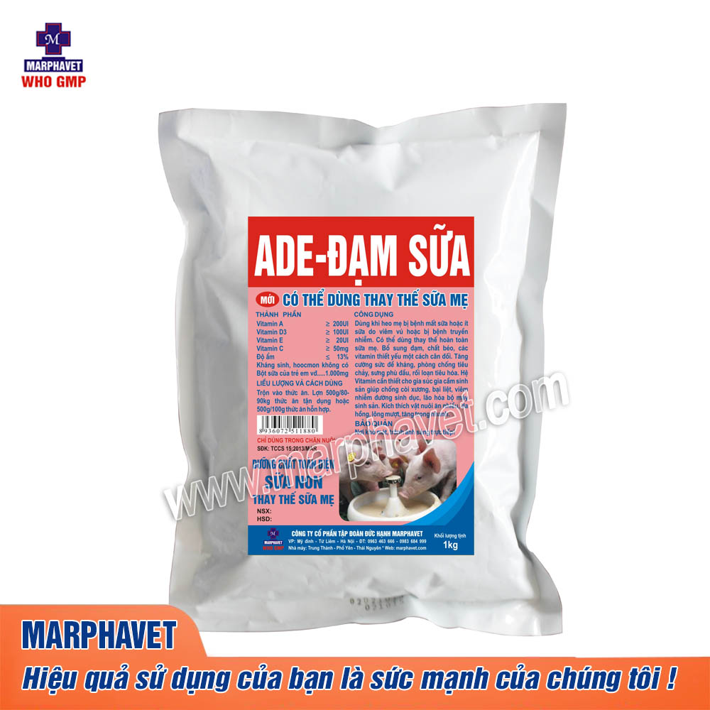 ADE-sua-non-heo-so-sinh-2