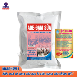 SỮA NON HEO SƠ SINH (ADE-ĐẠM SỮA)