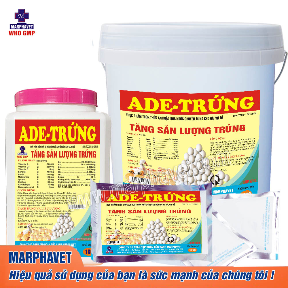 ADE-trung