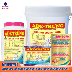 ADE TRỨNG