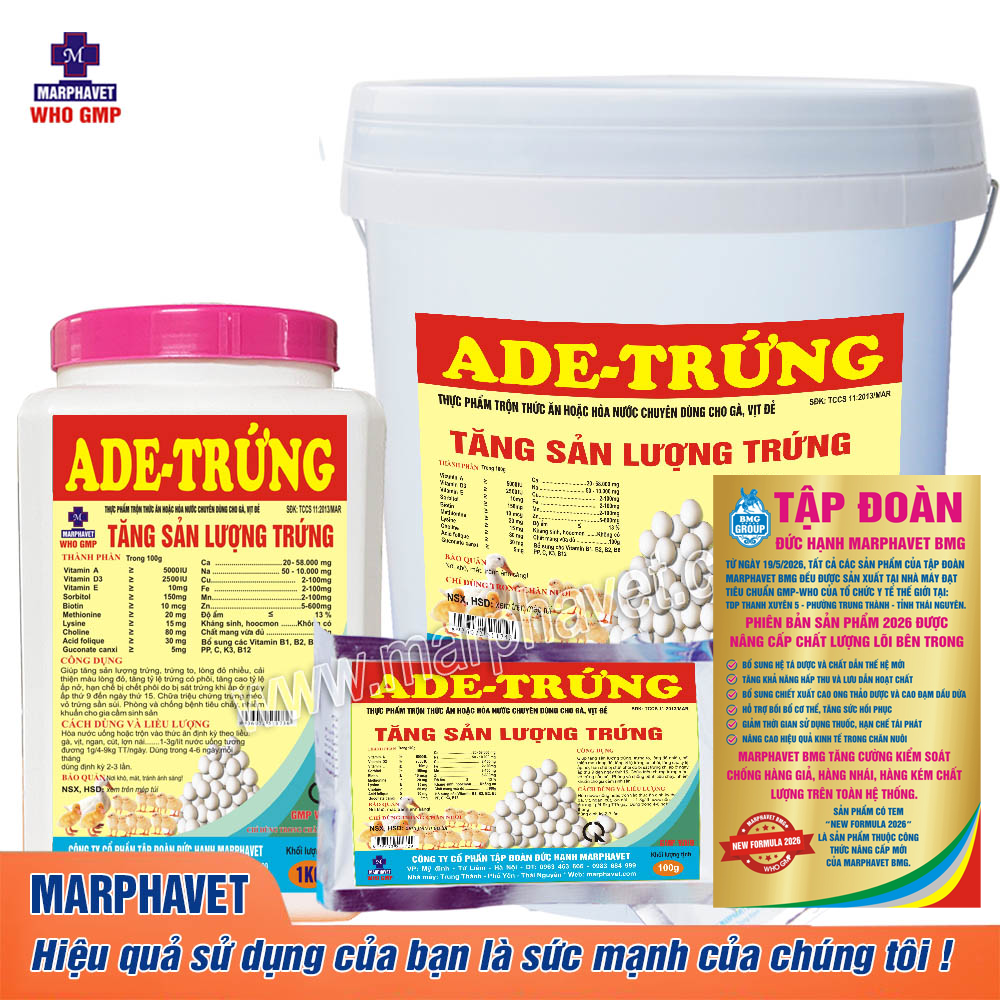 ADE-trung 2