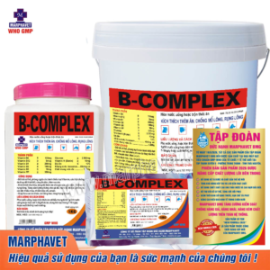 B-COMPLEX