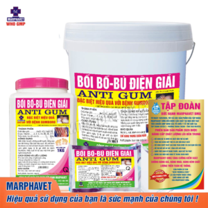 ANTI GUM (Bồi bổ bù điện giải)