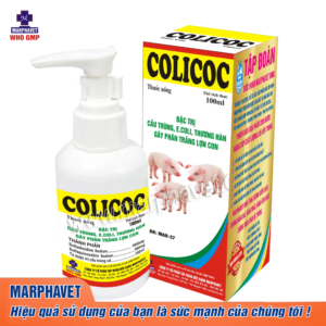 COLI COC (Nhấn xịt)