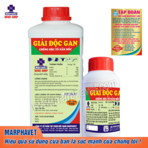 GIẢI ĐỘC GAN - CHỐNG ĐỘC TỐ NẤM MỐC