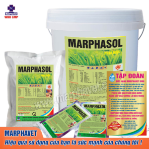 MARPHASOL THẢO DƯỢC