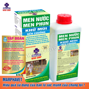 MEN PHUN KHỬ MÙI NỀN CHUỒNG
