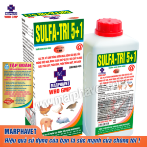 SULFA.TRI 5+1