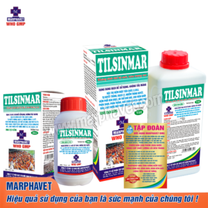 TILSINMAR