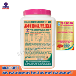 VỖ BÉO GÀ, VỊT, NGAN