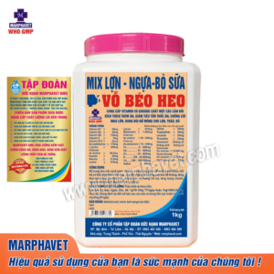 VỖ BÉO HEO