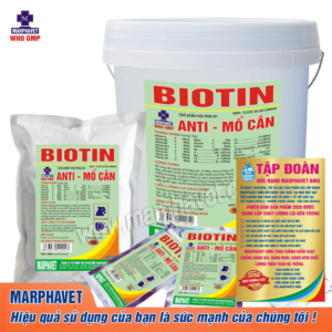 ANTI MỔ CẮN