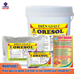 ĐIỆN GIẢI C - ORESOL