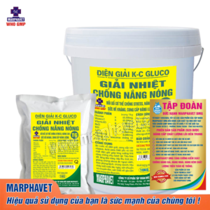 ĐIỆN GIẢI K-C GLUCO TG