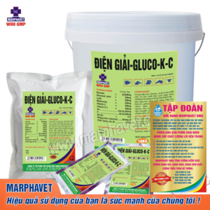 ĐIỆN GIẢI GLUCO-K-C