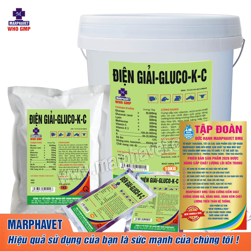 dien-giai-gluco-k-c 1