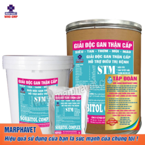 GIẢI ĐỘC GAN THẬN CẤP