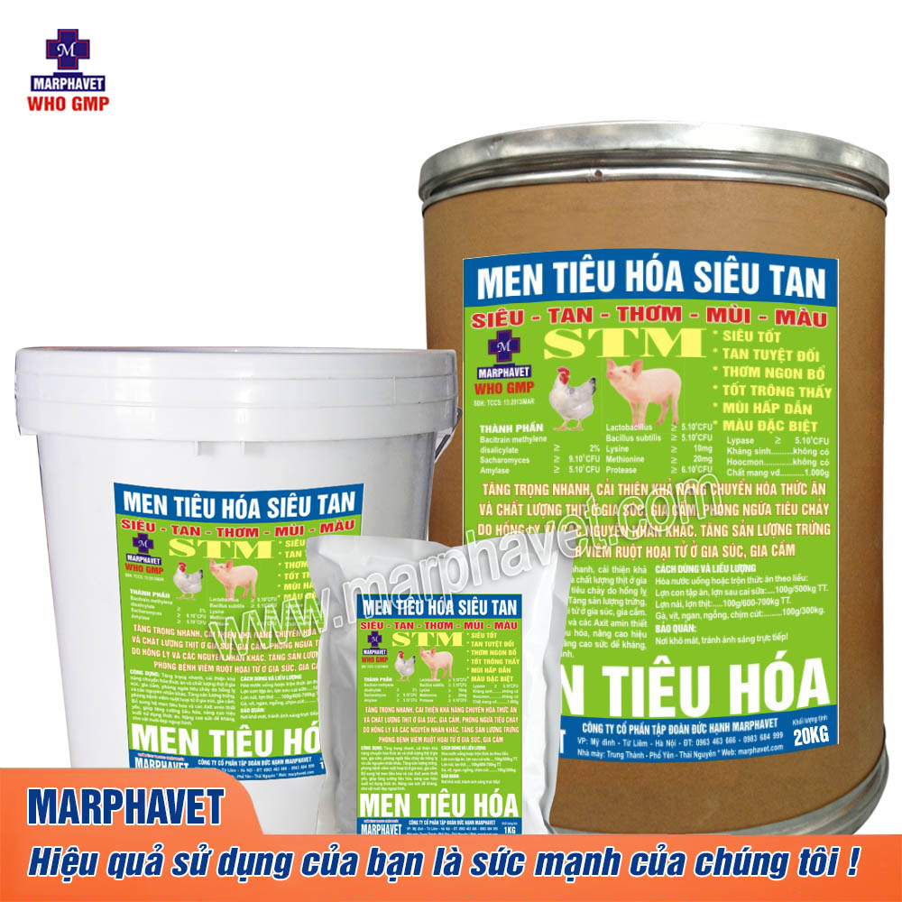 men-tieu-hoa-sieu-tan-STM