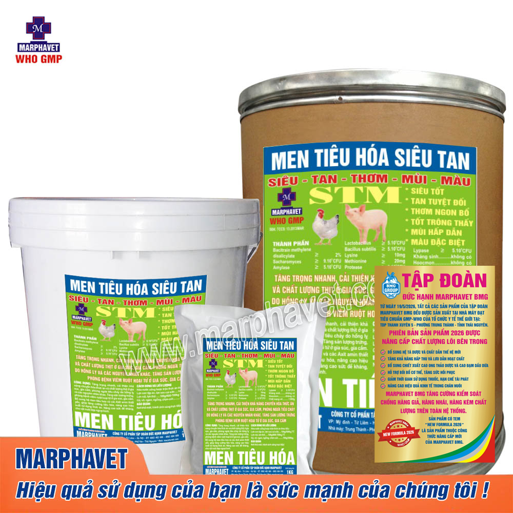 men-tieu-hoa-sieu-tan-STM-2