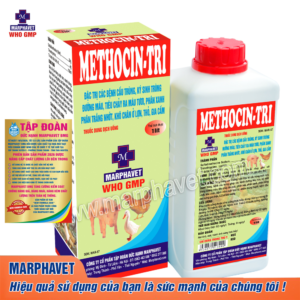 METHOCIN-TRI (Sản phẩm đạt danh hiệu uy tín hàng đầu Việt Nam)