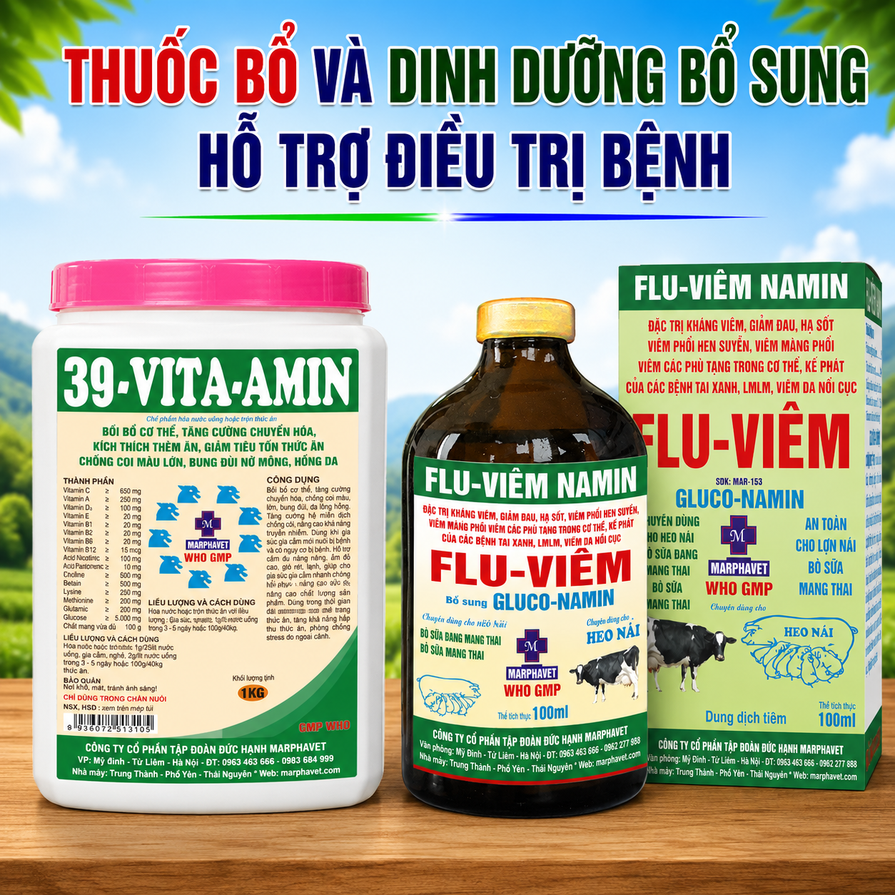 THUỐC BỔ VÀ DINH DƯỠNG BỔ SUNG HỖ TRỢ ĐIỀU TRỊ BỆNH