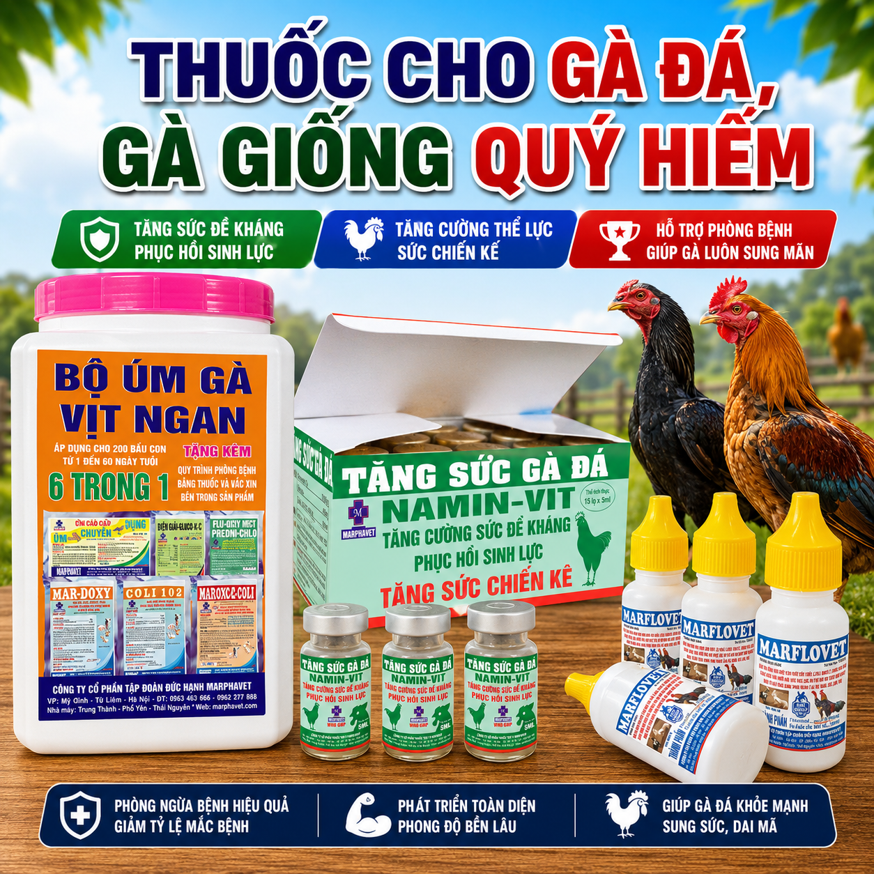 THUỐC CHO GÀ ĐÁ, GÀ GIỐNG QUÝ HIẾM